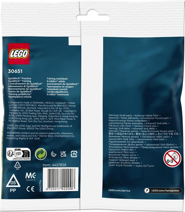 Actual product image LEGO Quidditch Practice (30651, LEGO Harry Potter)