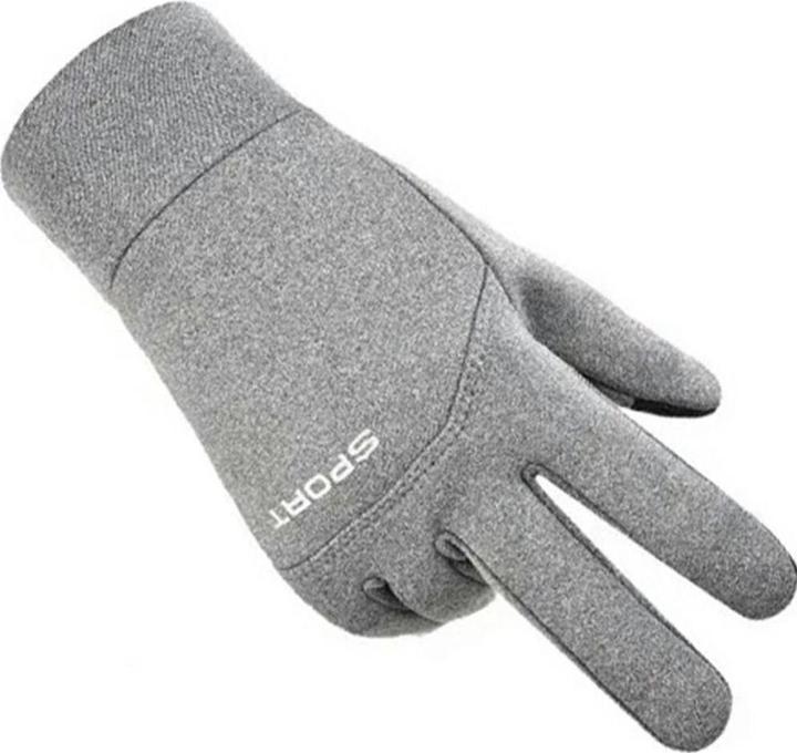 Actual product image OEM Consumer electronics Winter gloves insulated with smartphone function size XL RC-K-1180 gray (XL)