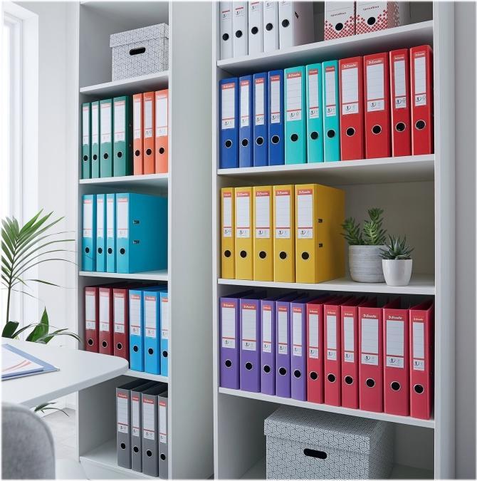 Actual product image Esselte Lever arch file plastic (A4, 50 mm, 1 Piece)