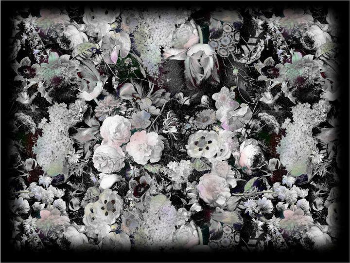 Image du produit Moooi Eden Queen B&W Tapis (300 x 400 cm)