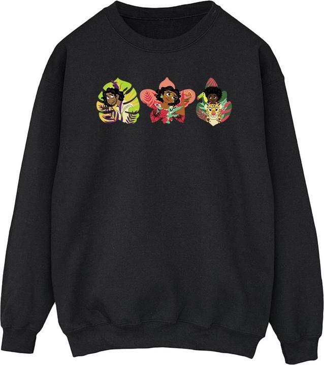 Disney Encanto Family Line Sweatshirt (XL)