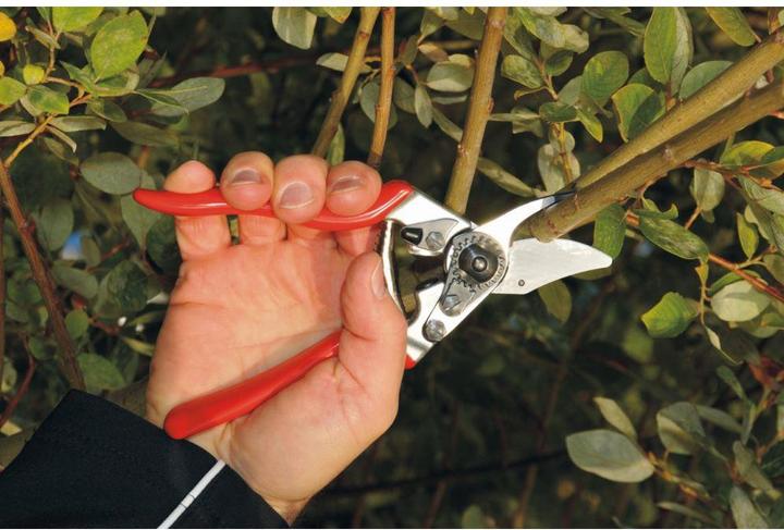 Produktbild Felco Gartenschere 6