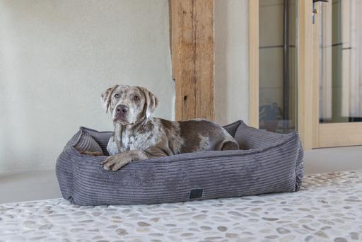 Actual product image Designed by Lotte Ribbed (Dog)