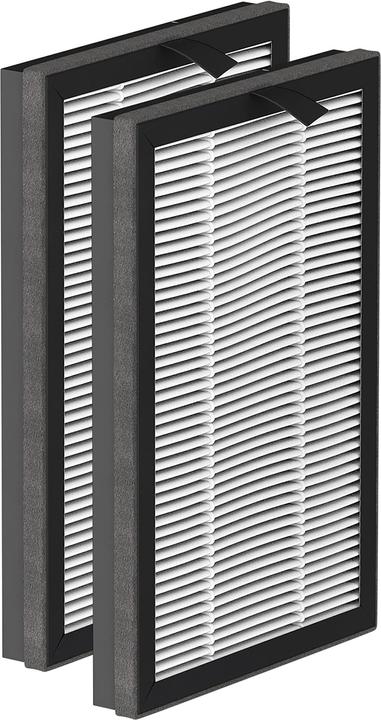 Rowenta XD6520F0 Accessoires pour purificateurs d'air Filtre pour purificateur d'air (1 x)