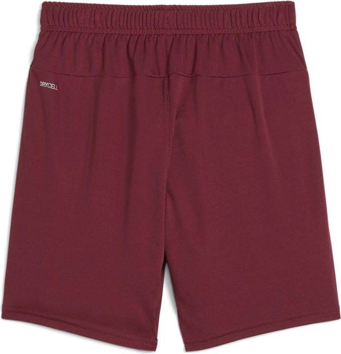 Actual product image Puma teamGOAL Shorts Jr (164)