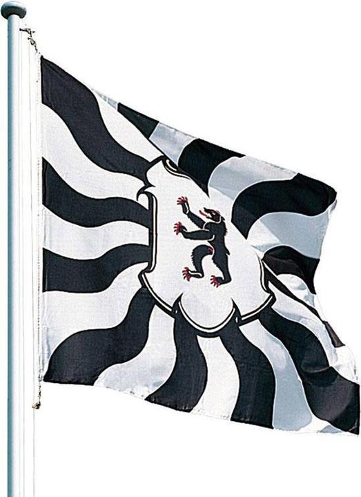 Actual product image Keller Fahnen Kantonsfahne geflammt Appenzell Innerrhoden Superflag® 150x150 cm