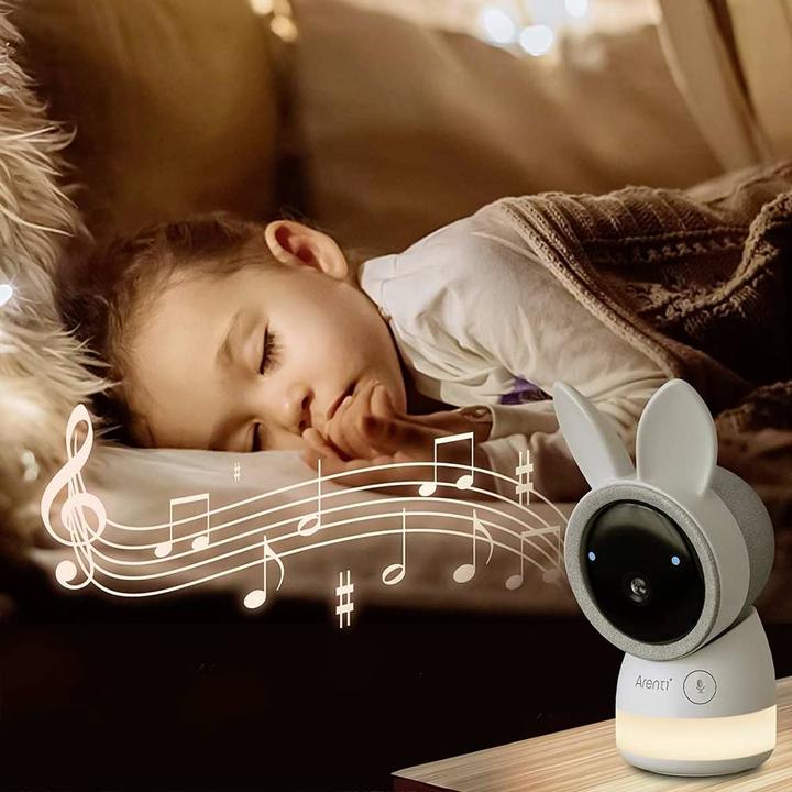 Actual product image Arenti AInanny (Video & Audio, 150 m)