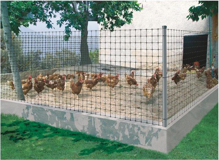 Image du produit Intermas Clôture pour animaux Avinet 90