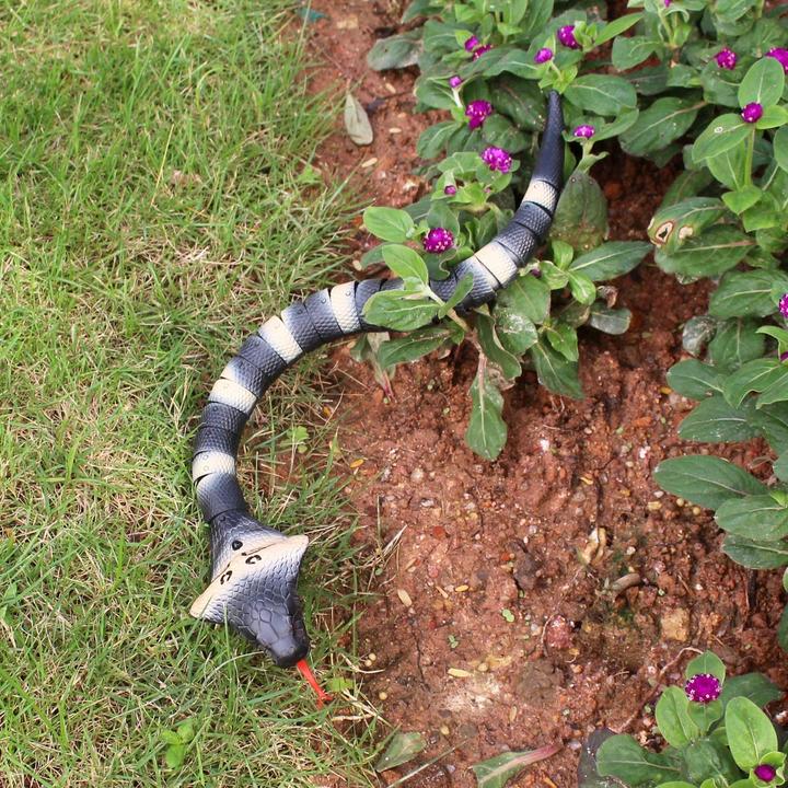 Produktbild Zuru REAL WILD - Remote controled Cobra Snake - (20248)