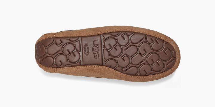 Actual product image Ugg Dakota (39)