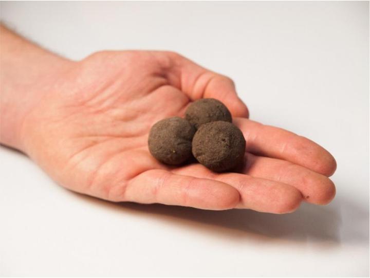 Actual product image Die Stadtgärtner Seed bombs bee feast (Flower seeds)