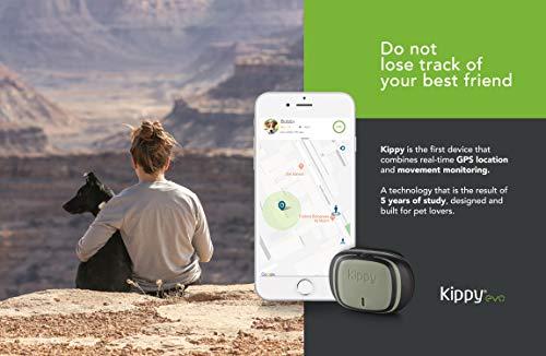 Produktbild Kippy GPS und Activity Monitor