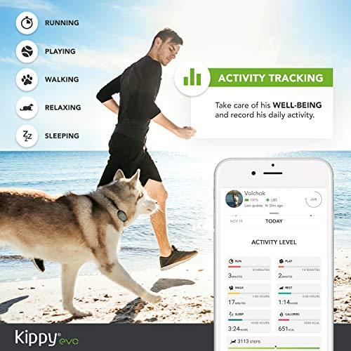 Produktbild Kippy GPS und Activity Monitor