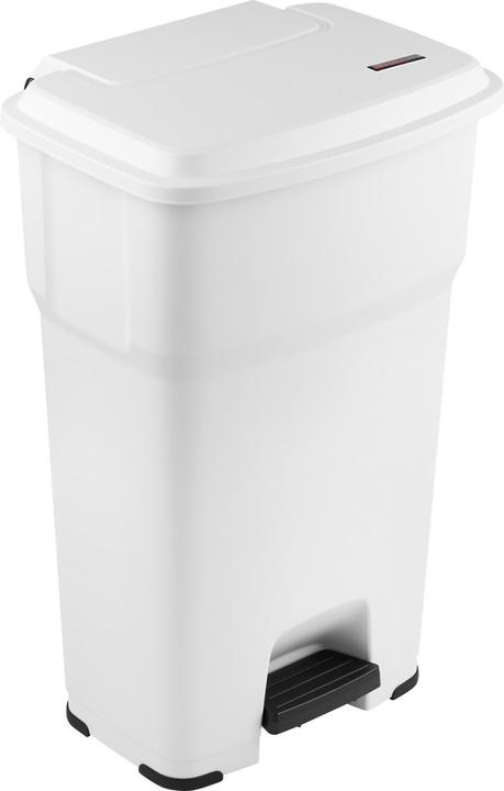 Rotho Tretabfallbehälter Hera (60 l)
