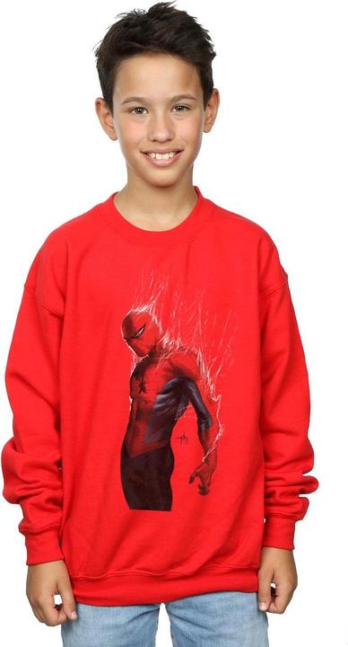 Actual product image Boys Spider-Man Web Wrap Sweatshirt (140, 146)