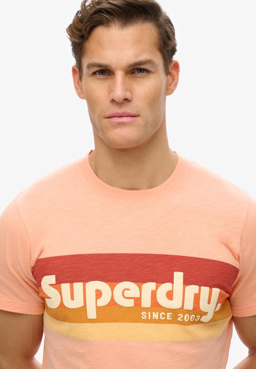 Actual product image Superdry Terrain Logo Stripe Relxed Tee (M)