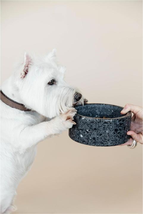Produktbild Kentucky Dogwear Futternapf Terrazzo Stein