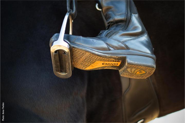 Image du produit Schockemöhle Sports Bottes d'équitation Jupiter Tonics Femmes (38)