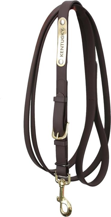 Kentucky Horsewear Vorführstrick 2m Biothane Beta