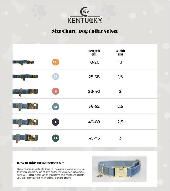 Produktbild Kentucky Dogwear Hundehalsband velvet (L, Hund, Hundesport)