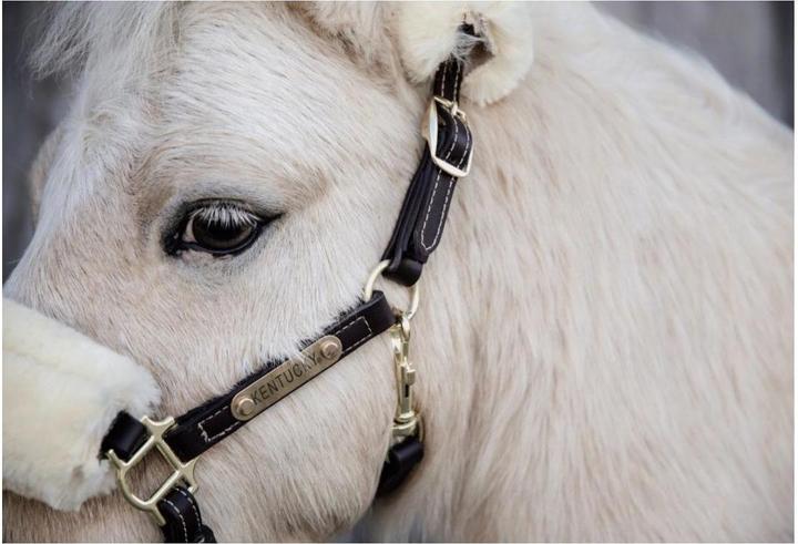 Actual product image Kentucky Horsewear Pony leather halter