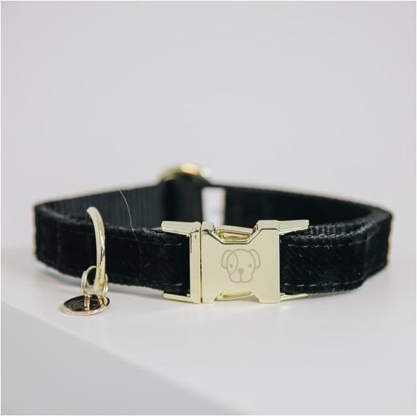 Produktbild Kentucky Dogwear Hundehalsband corduroy (XS, Hund)