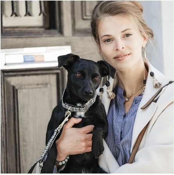 Produktbild Kentucky Dogwear Hundehalsband Pied-de-Poule (XS, Hund)