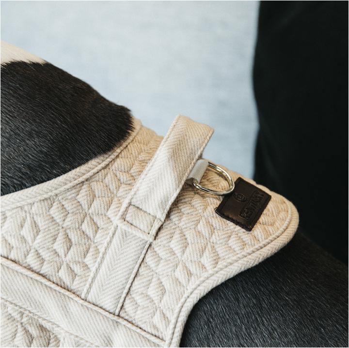 Produktbild Kentucky Dogwear Hundegeschirr Body Safe (XL, Hund, Allgemein)