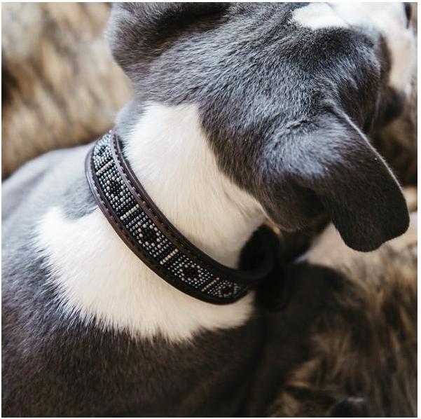 Produktbild Kentucky Dogwear Hundehalsband Handgemacht Pearls (L, Hund)