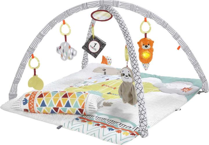 Fisher-Price Perfect Sense Deluxe Gym