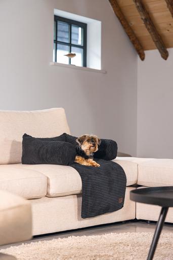 Actual product image Designed by Lotte Ribbed (Dog)
