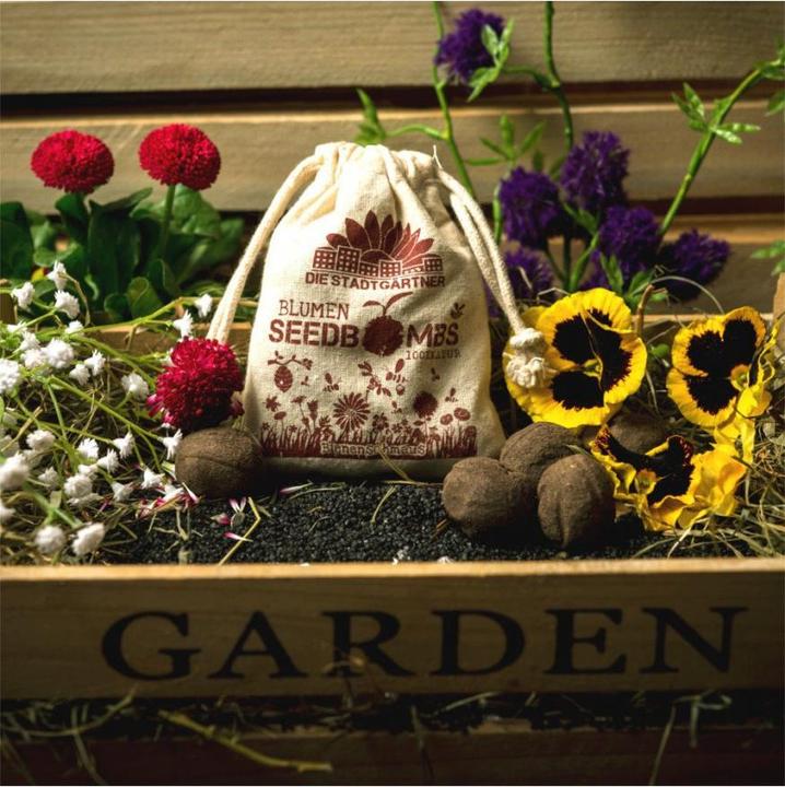Actual product image Die Stadtgärtner Seed bombs bee feast (Flower seeds)