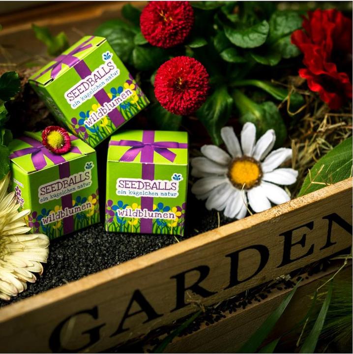Immagine prodotto Die Stadtgärtner Fiori di campo in un cubo (Germogli)