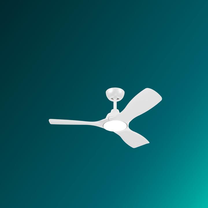 Actual product image Philips Fan Ceiling Light 30(Fan)+24(Light)W