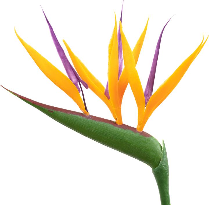 Produktbild Flowerbox 3er-Set Paradiesvogelblume mit Kunstblüte - Strelitzia Reginae (40 cm)