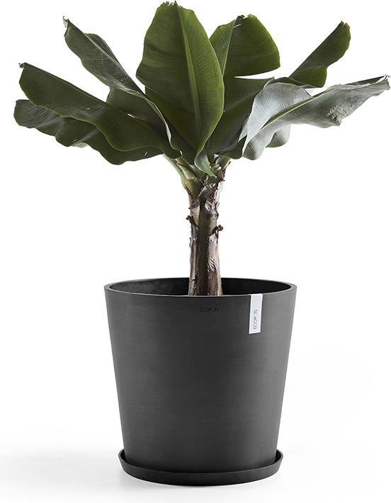 Actual product image Ecopots Saucer Round
