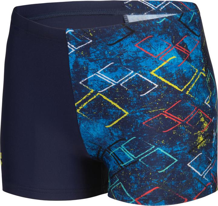 Arena B Daly Swim Short