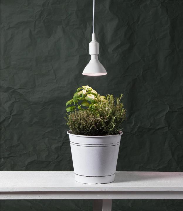 Image du produit Star Trading Lampe Plant Light (E27, 16 W, 1200 lm, 1 x)