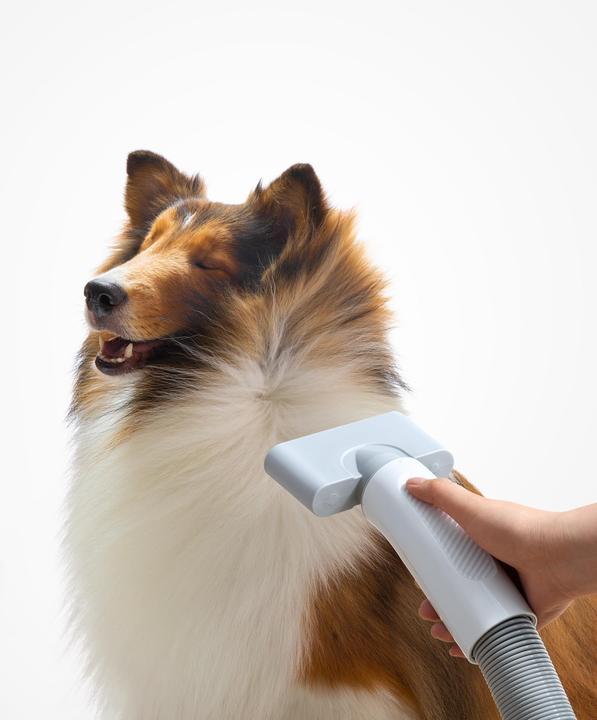 Produktbild HomeRunPet Haustierföhn PD10 (Hund)