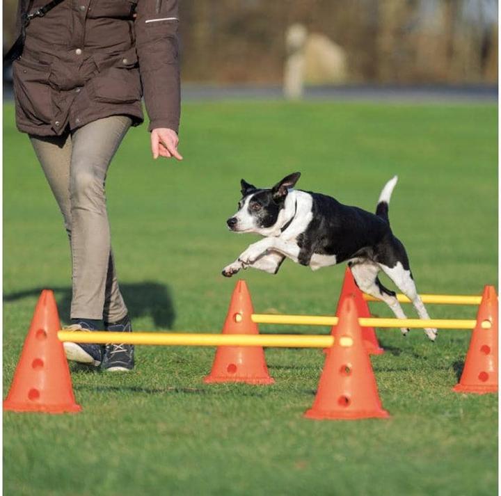 Produktbild Trixie Dog Activity (S, Agility)