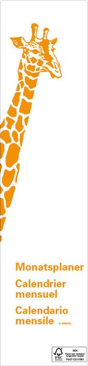 Actual product image Giraffe calendar (12 x 55 cm, No binding)