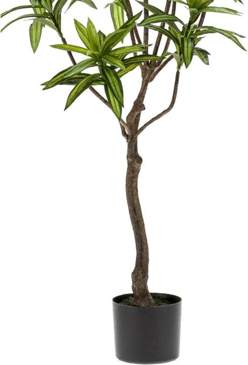Productafbeelding Emerald Brendis (130 cm)