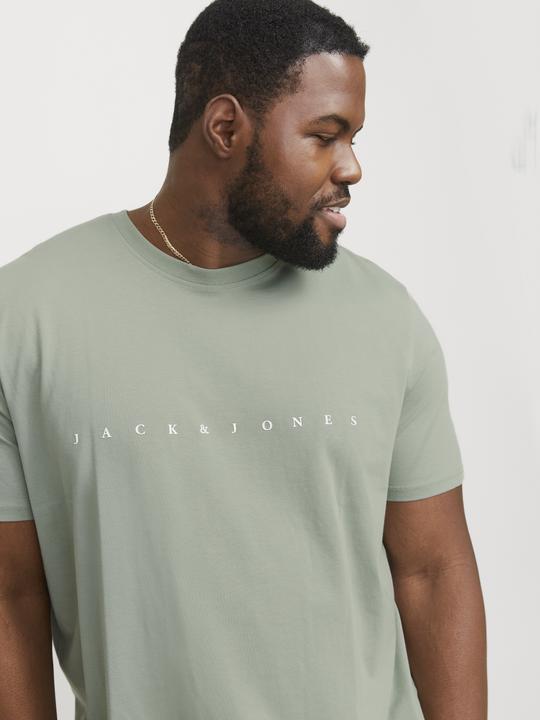 Actual product image Jack & Jones Jjestar Jj Tee Ss Noos Pls (4XL)