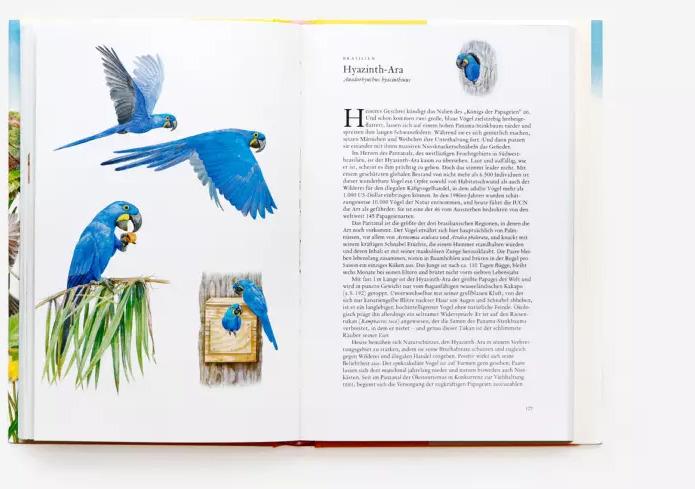 Actual product image In 80 Vögeln um die Welt (German, Mike Unwin, Ryuto Miyake, Bettina Eschenhagen, 2022)