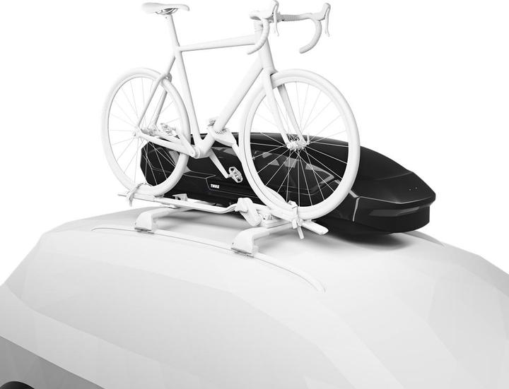 Actual product image Thule Motion 3 Sport black glossy (300 l)