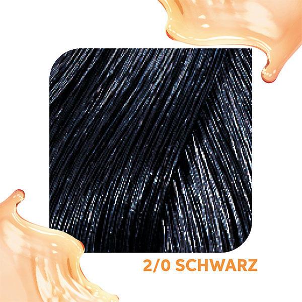 Actual product image Wella Color Fresh Acid (2/0 black)