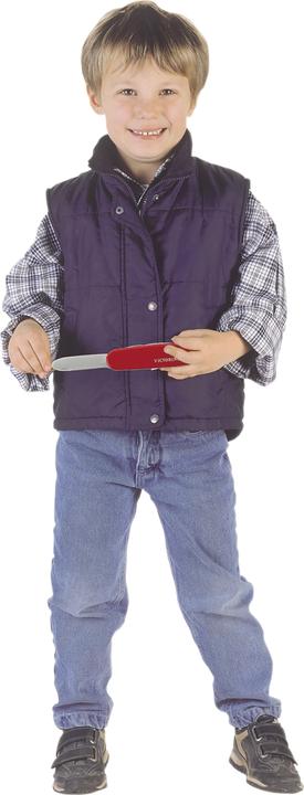 Actual product image Theo Klein Swiss knives