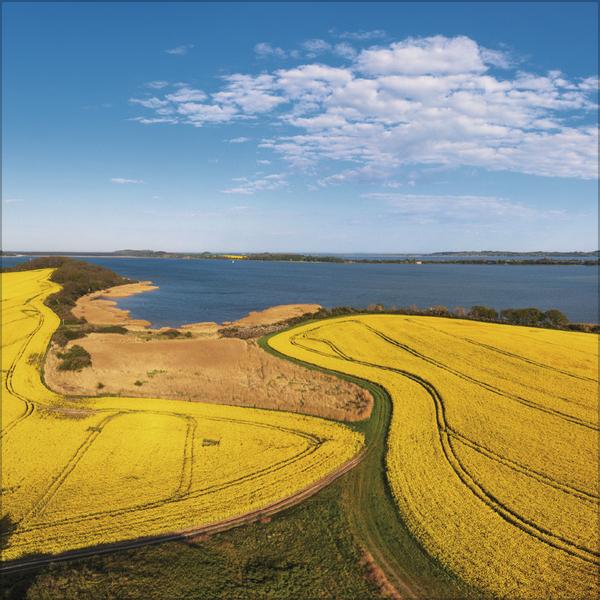 Actual product image Meerblicke - Nord- und Ostsee 2026 (30 x 30 cm, Hardcover, French, English)
