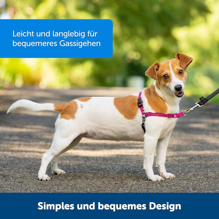 Produktbild PetSafe Easy Walk Geschirr (L, Hund, Allgemein)