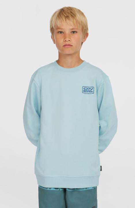 Actual product image O'Neill Logo Crew (104)